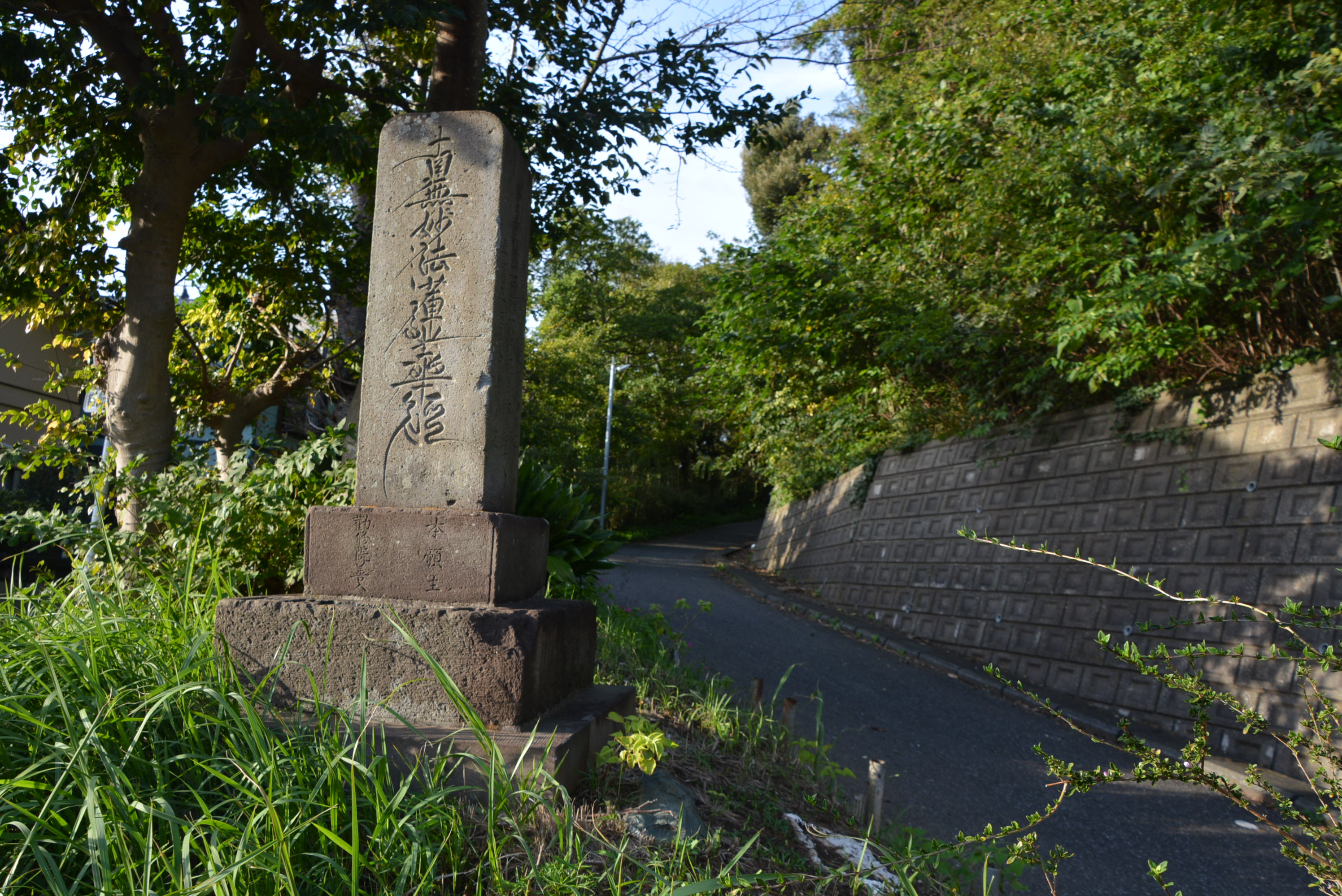 松戸周辺の城跡を訪ねて㉑ | 松戸よみうり